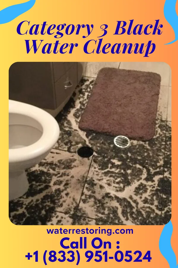 Category 3 Black Water Cleanup in Soudersburg, PA