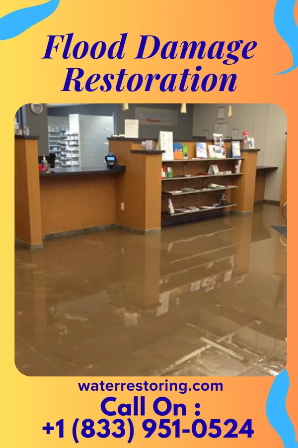 Flood Damage Restoration in Soudersburg, PA