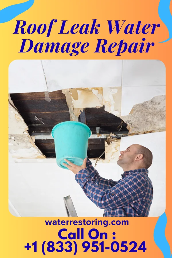 Roof Leak Water Damage Repair in Soudersburg, PA
