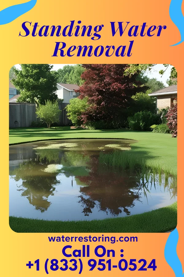 Standing Water Removal in Soudersburg, PA